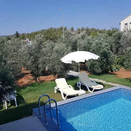 Cactus * Fethiye